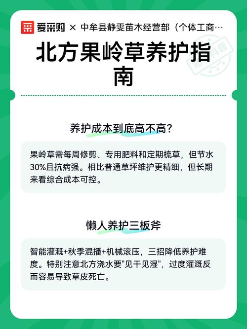推荐清单：不同需求的方案选择