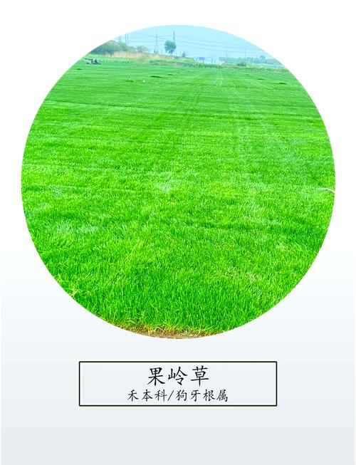 养护参数（夏季生长季）