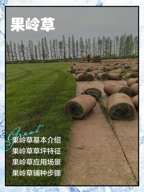 总结
