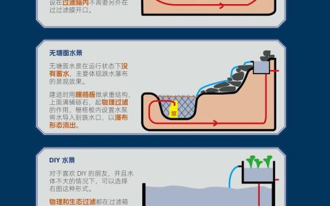 水培植物如何固定？池塘与河道中挺水、浮水、沉水植物的三种核心固着方案