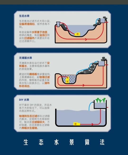 水培植物如何固定？池塘与河道中挺水、浮水、沉水植物的三种核心固着方案