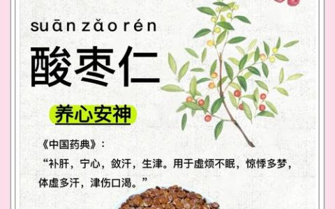 酸枣仁有什么作用？详解其安神助眠功效与食用禁忌