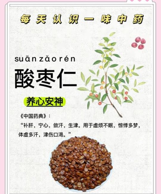 酸枣仁有什么作用？详解其安神助眠功效与食用禁忌
