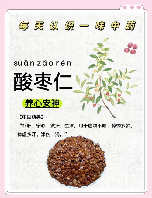 酸枣仁有什么作用?详解其安神助眠功效与食用禁忌 酸枣仁有什么作用?详解其安神助眠功效与食用禁忌