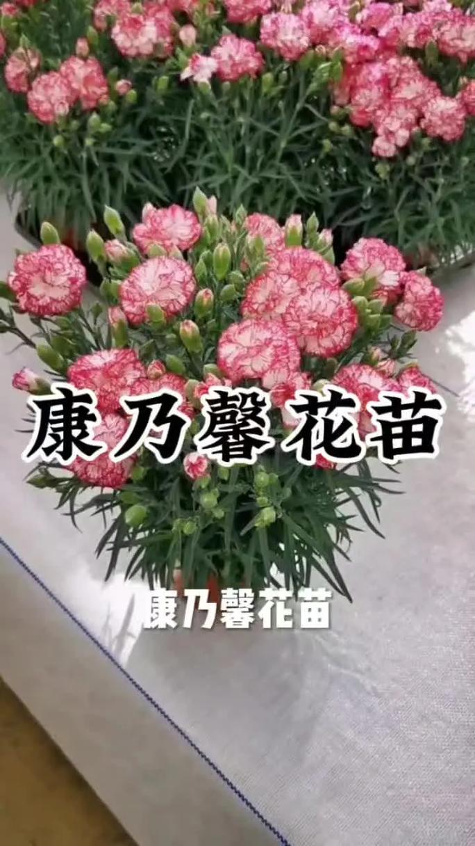 结语
