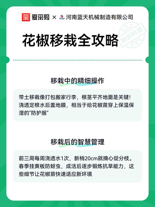 四、栽植深度与穴坑准备