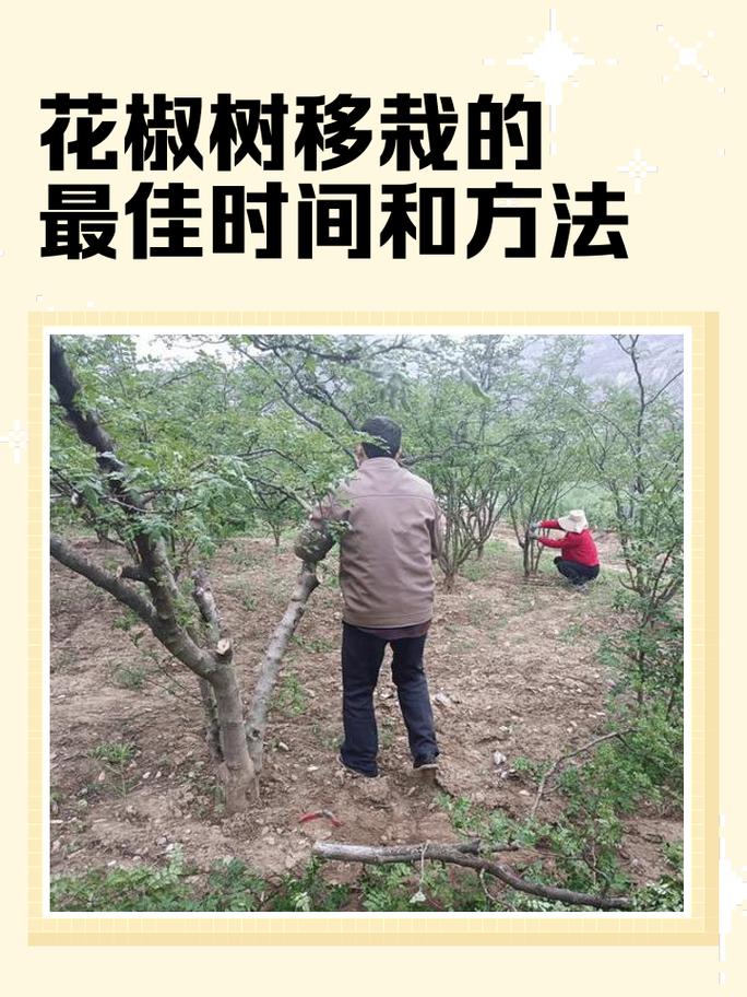 七、成活注意事项与补救措施