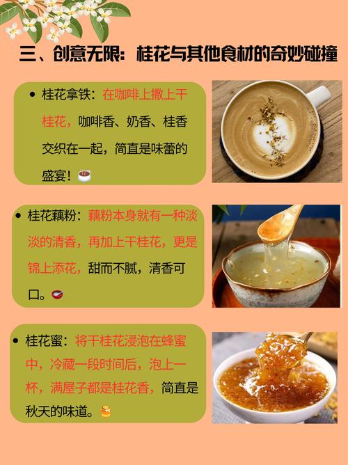 有毒⚠️声明与安全提示