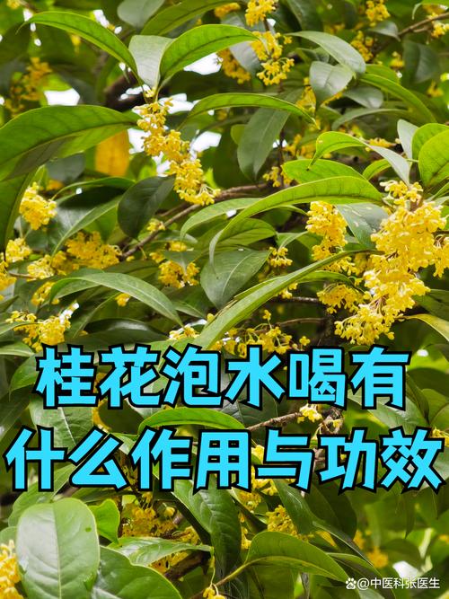 注意事项与风险分级