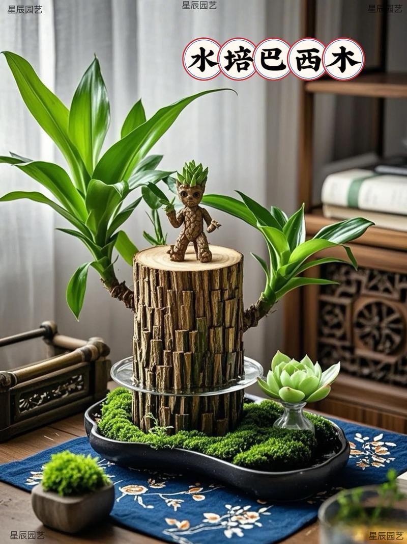 水宝宝适合水培植物吗?专家详解基质选择与替代方案 水宝宝与主流水培基质的核心参数对比