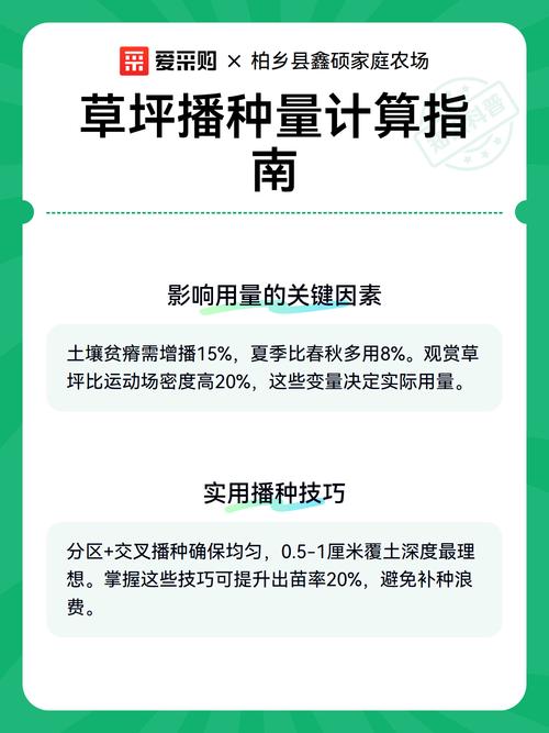 种植草坪每平米用多少种子?精确播种量指南与关键影响因素 操作步骤:如何正确计算并播种