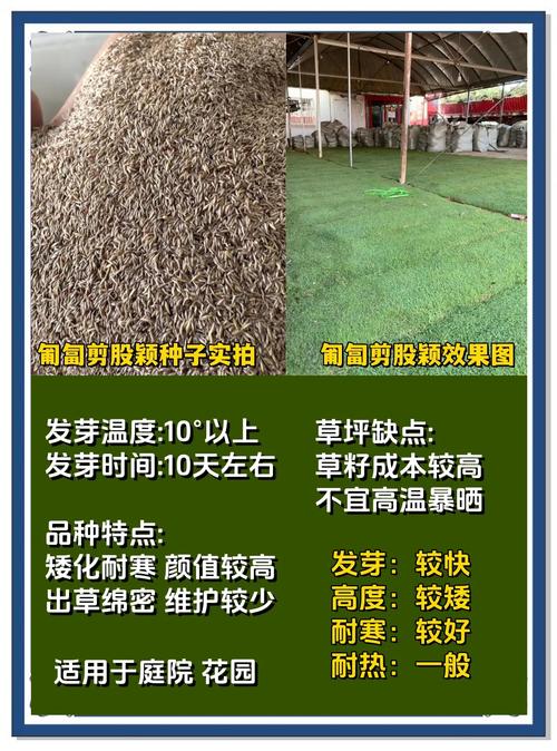 种植草坪每平米用多少种子?精确播种量指南与关键影响因素 常见错误与补救方案(FAQ)