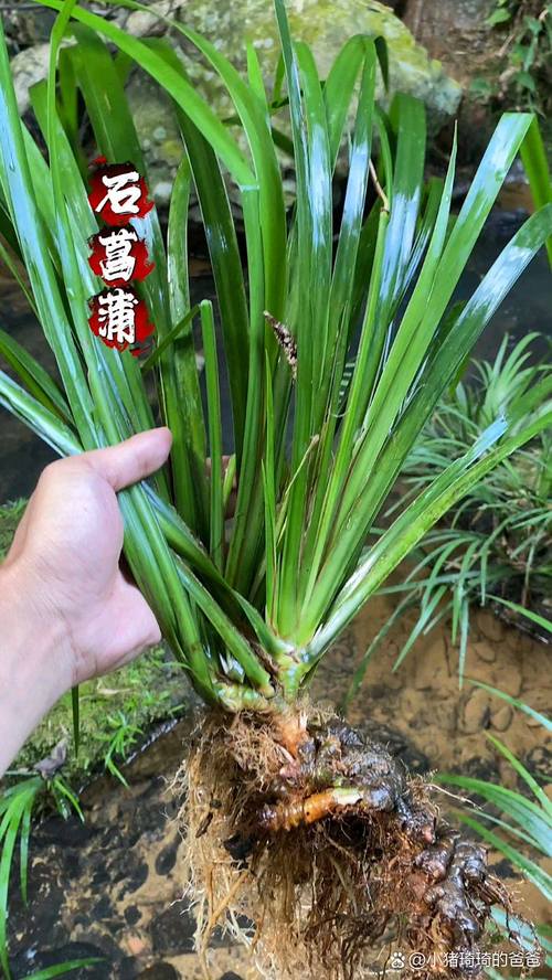 常见误区与纠正