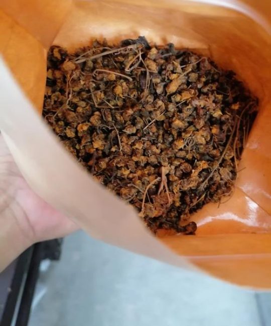 菊花茶为何是苦的？从品种选择到养护全解析
