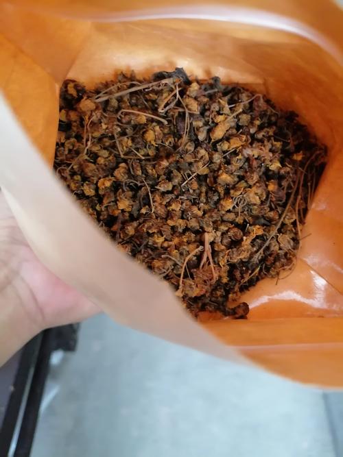 菊花茶为何是苦的？从品种选择到养护全解析
