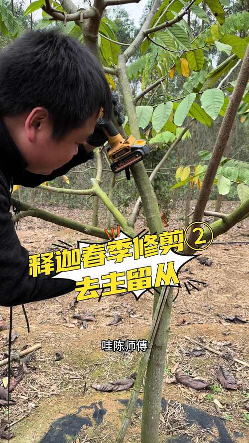 常见原因列表