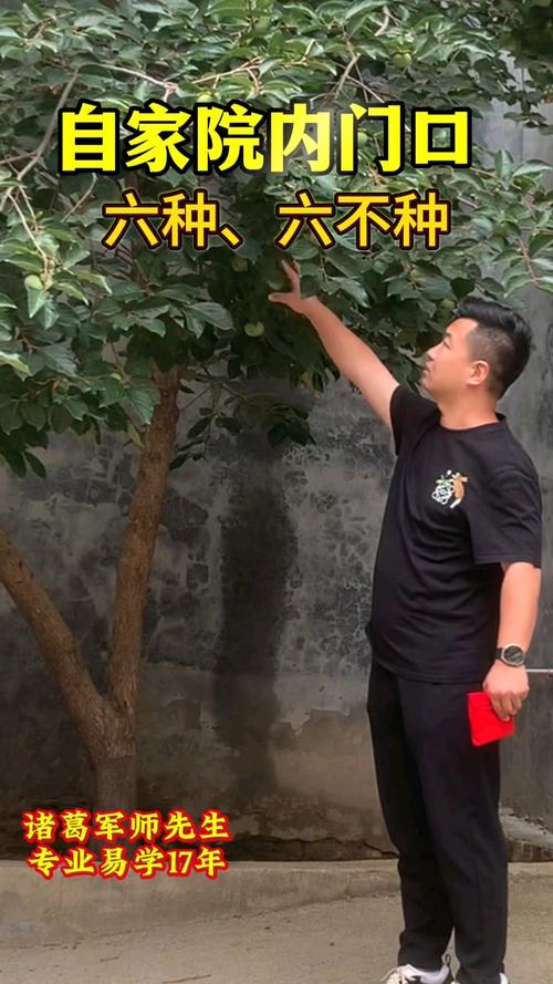 农村院子植树有什么讲究?先看这4点再动手 二、适合农村院子的3类树,实用又好养