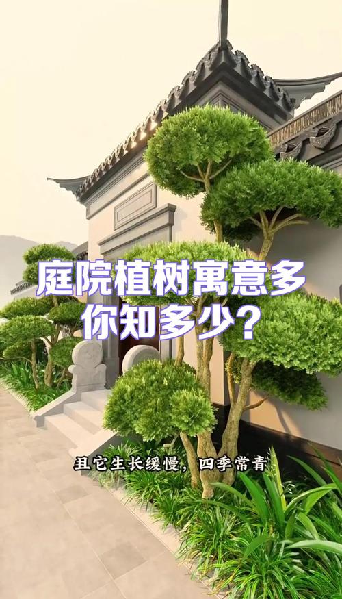 农村院子植树有什么讲究?先看这4点再动手 三、农村院子植树,最容易忽略的3个问题