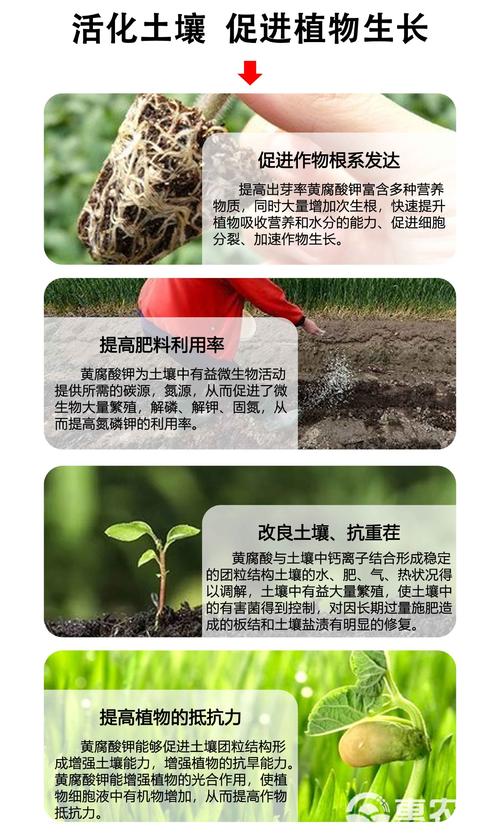 越冬越夏：季节变化，调整养护策略