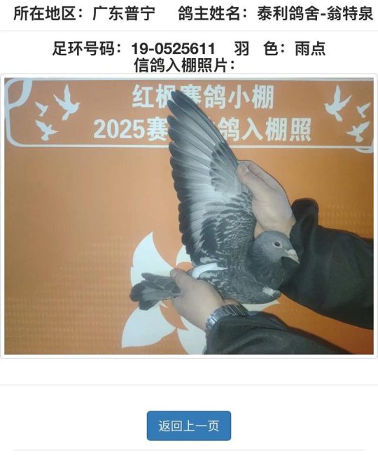 贵州红枫小棚育苗技术与管理全攻略