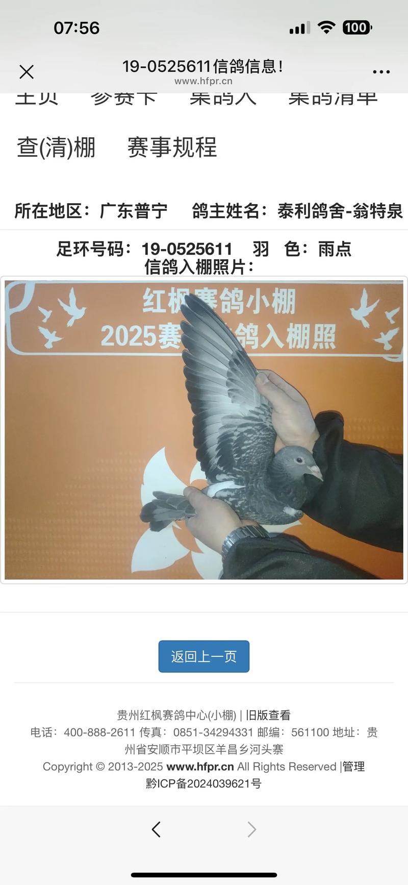 贵州红枫小棚育苗技术与管理全攻略 贵州红枫小棚育苗技术与管理全攻略
