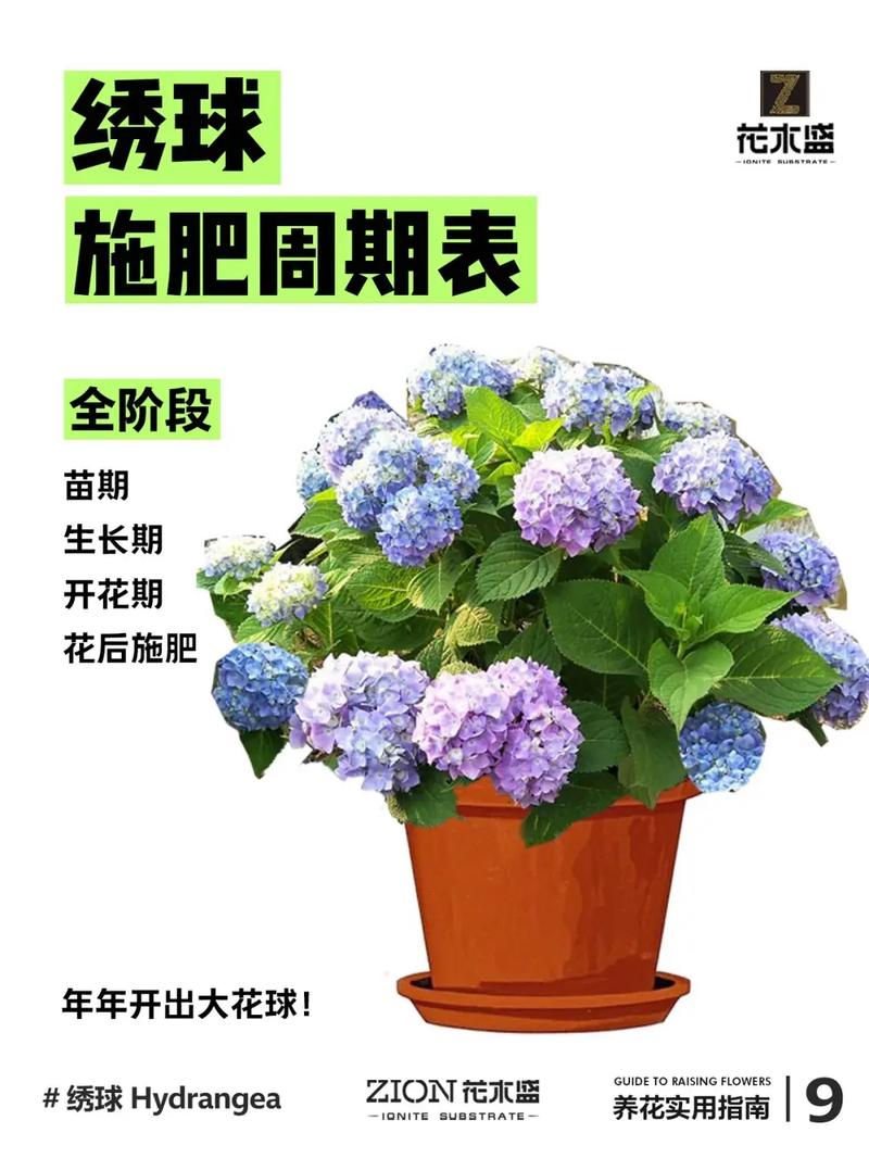 红土可以种绣球花吗?手把手教你改良红土,绣球也能开爆盆 总结