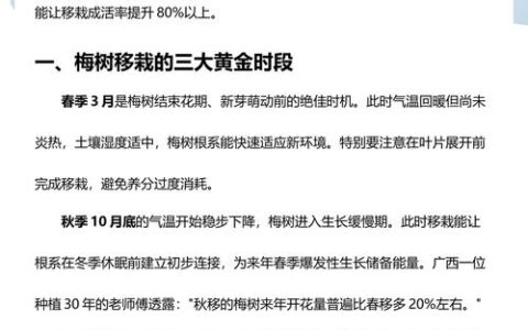 梅树什么时候移栽好？掌握好这7点，成活率大幅提升