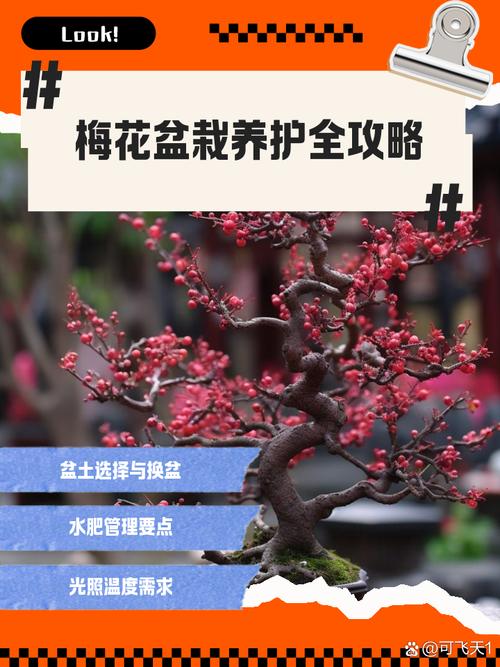 梅树什么时候移栽好?掌握好这7点,成活率大幅提升 六、缓苗管理:遮阴遮阳网,喷水保湿