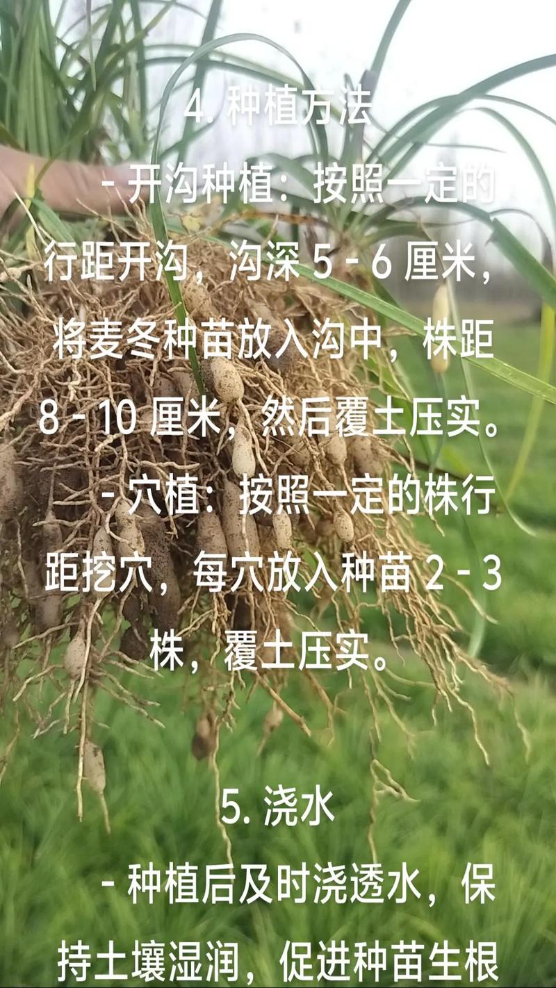 二、不同地区该怎么选
