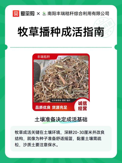 三、秋季播种牧草的关键技术
