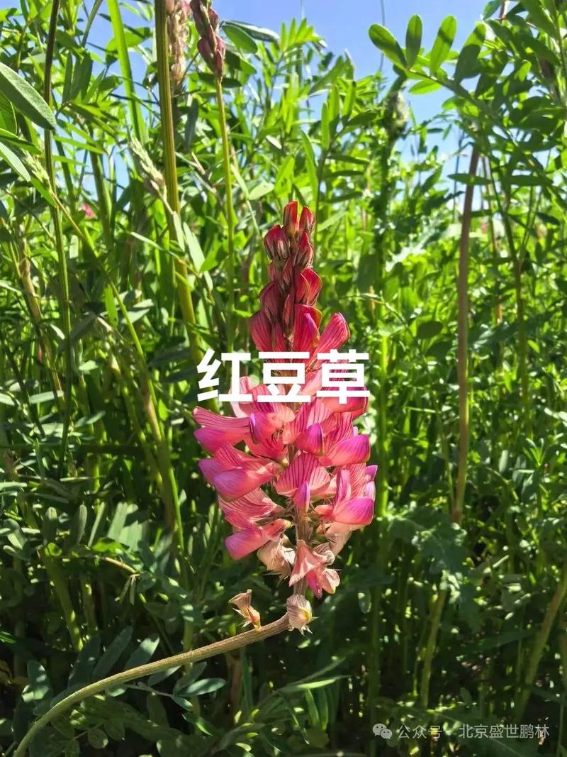 六、总结