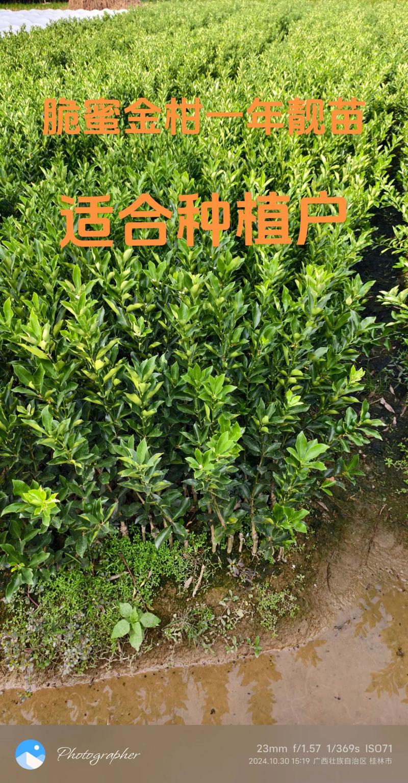 常见问题（FAQ）