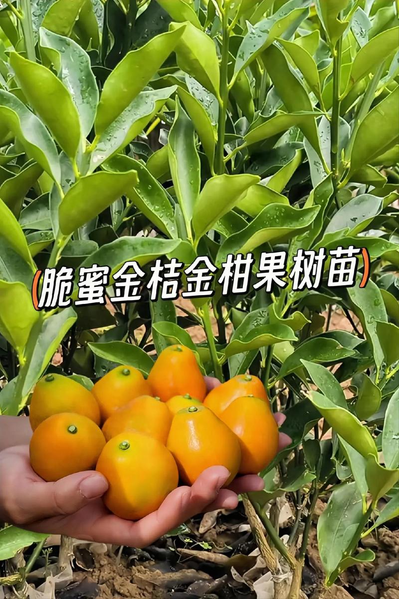 您的专属询价指南