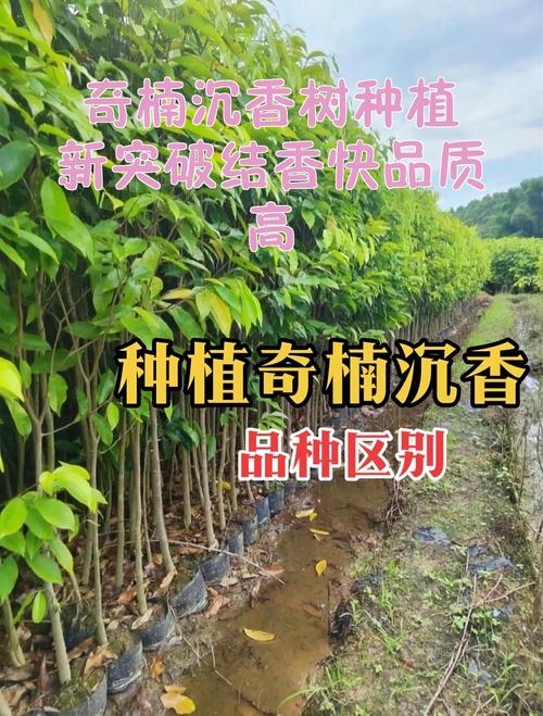 常见误区澄清