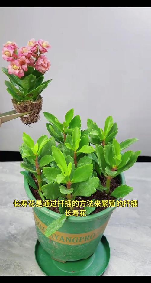 结语