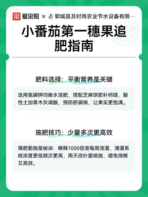 西红柿第一穗果开始冲什么肥?掌握冲肥时机与技巧,坐果多、果实大 五、总结