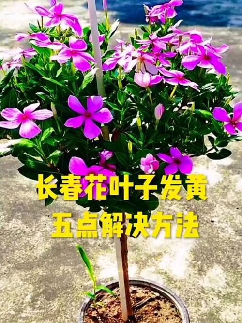 常见问题解答（FAQ）