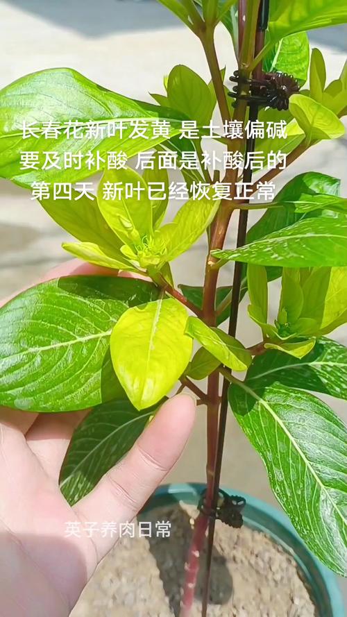 总结：核心可执行动作3条