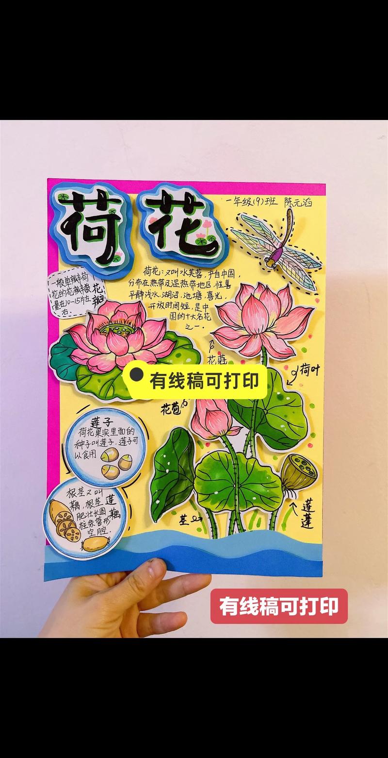 荷花种植全攻略:从选种到开花的操作指南 荷花什么时候种?种多深?用什么土?