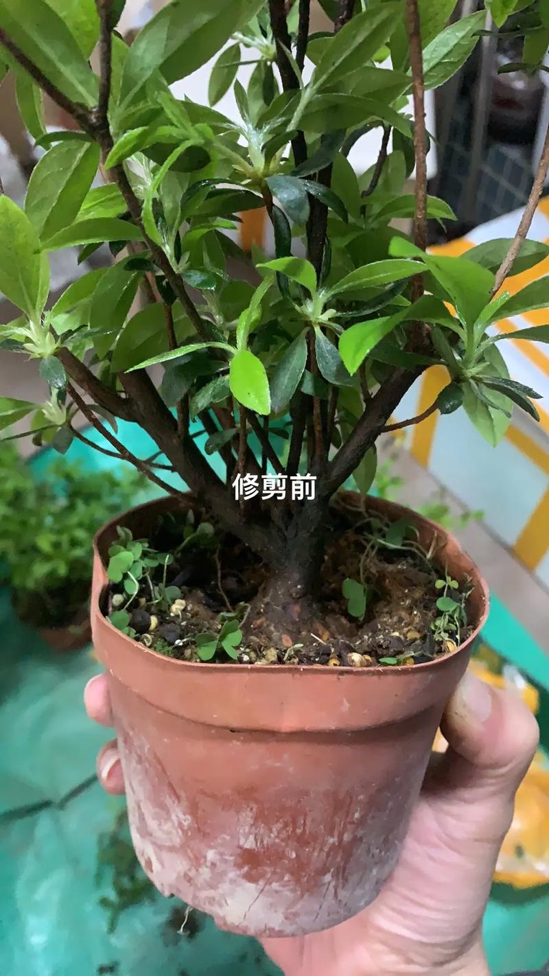 越冬越夏：夏避酷热，冬防严寒