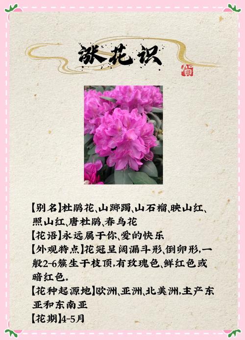 结语