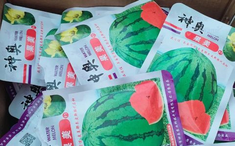 去年的西瓜种子今年还能种吗？一份种植户实操指南