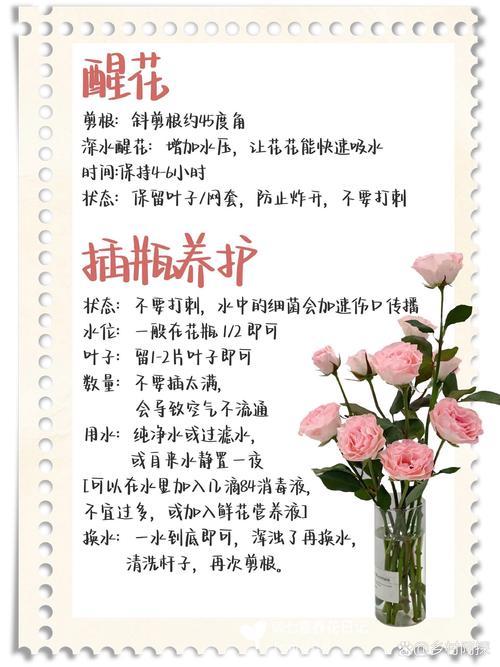 玫瑰花属于植物吗?——从植物学定义到家庭园艺养护全解析 盆栽与地栽选择决策:3个判断标准