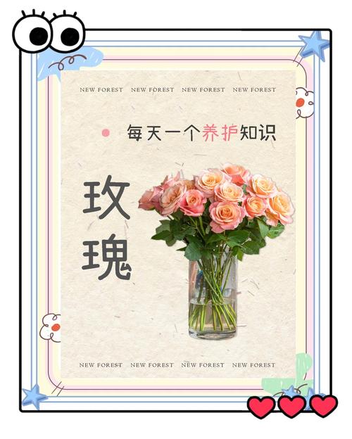 玫瑰花属于植物吗?——从植物学定义到家庭园艺养护全解析 常见误区与纠正