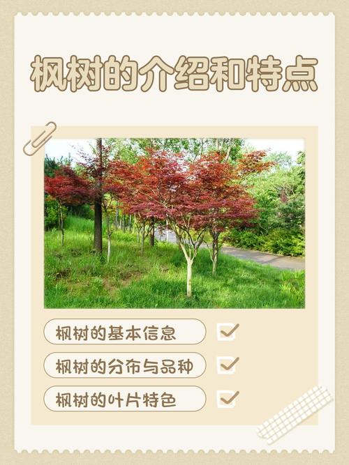 庭院秋色乔木指南:枫树(槭树)叶色、树形与移栽养护全解析 总结