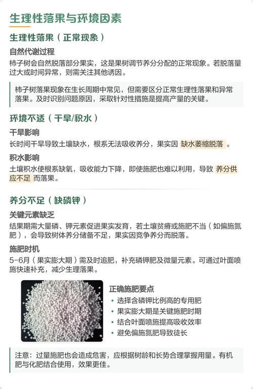柿子树落果防治全攻略:原因、排查与处理办法 处理办法:针对每个原因的调整措施