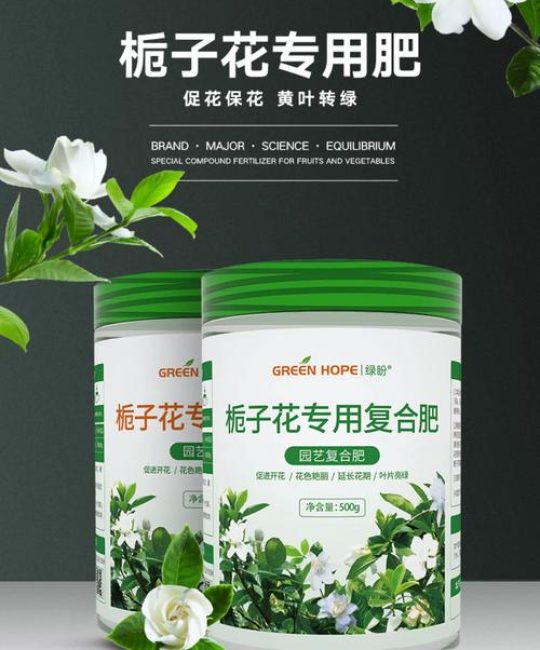 栀子花施肥什么肥料最好？家庭养护全攻略