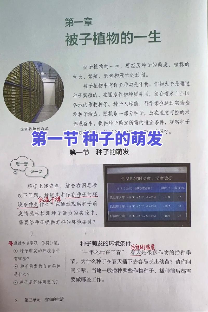 种子为什么会发芽?——从科学原理到精准育苗的实操逻辑 三、可验证的播种执行流程(以生菜和番茄为例说明差异)