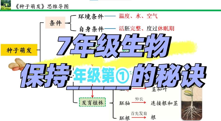 种子为什么会发芽?——从科学原理到精准育苗的实操逻辑 四、常见失败诊断与补救