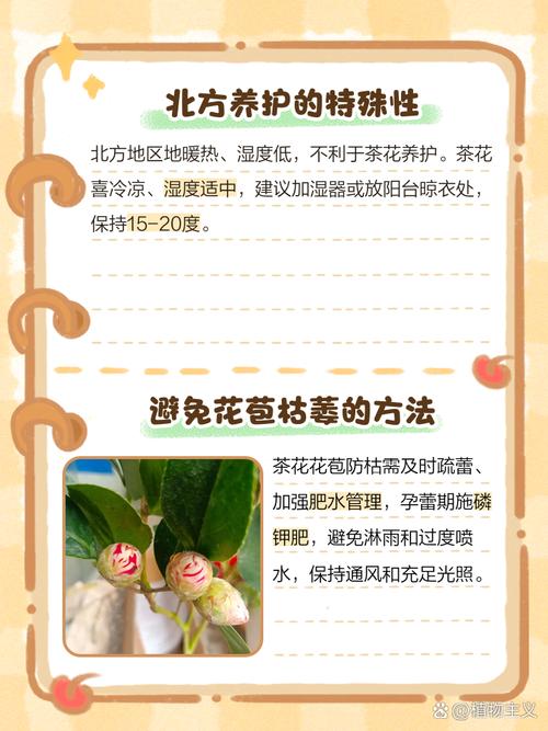 茶花花蕾干枯是怎么回事?原因与对症防治全攻略 FAQ